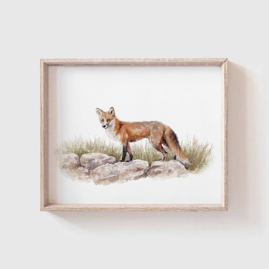 Forest Fox Art Print