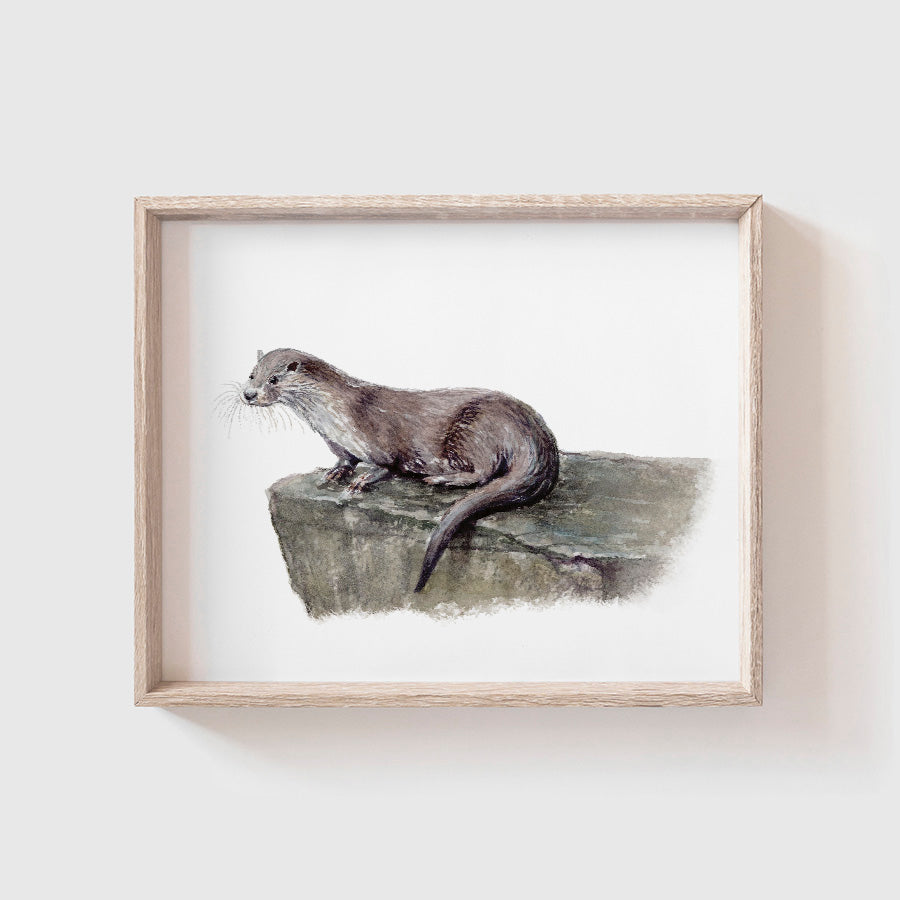 Otter Art Print