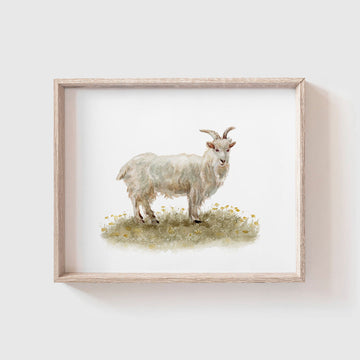 Farm Goat Art Print