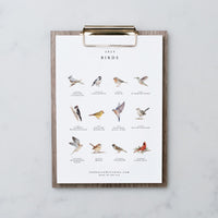 Birds Desk Calendar Refill - Portrait (2024)