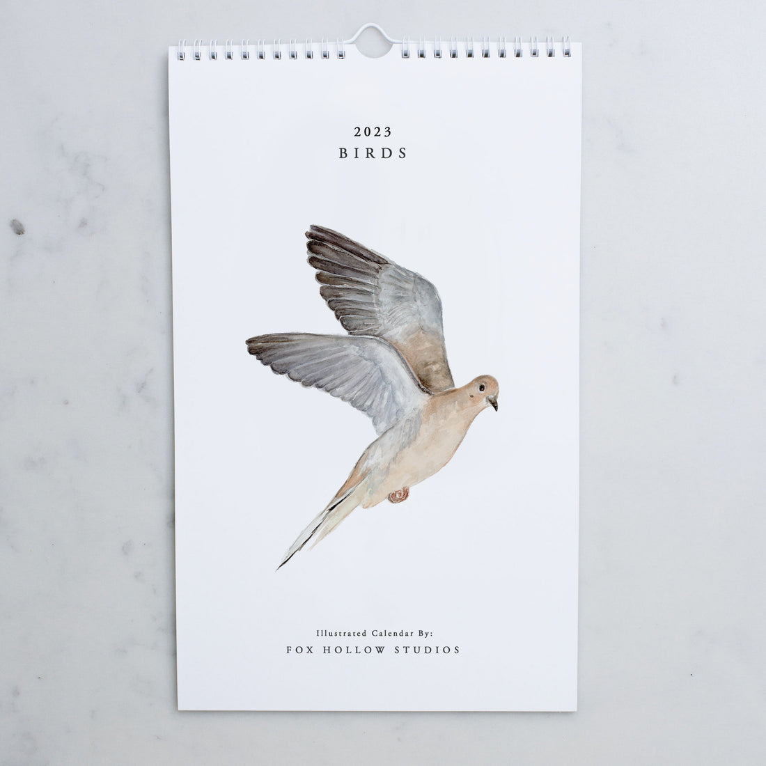 Birds Wall Calendar (2023)