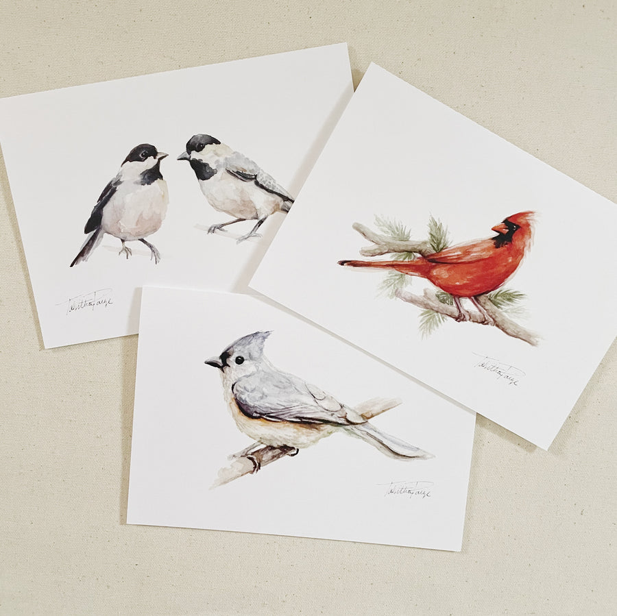 Bird Greeting Card Set (6)