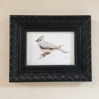 Frameable Tufted Titmouse Greeting Card