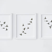 Black Birds Art Print Set
