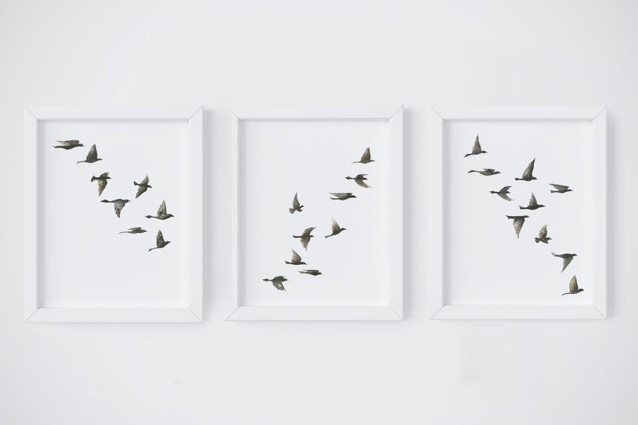 Black Birds Art Print Set