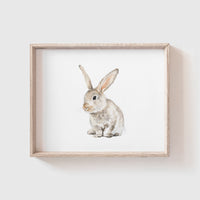 Bunny No. 1 Art Print
