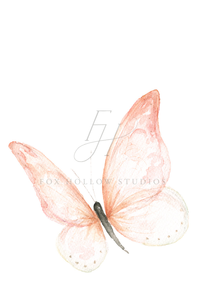 Pink Butterfly Art Print