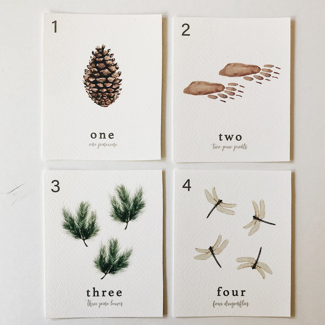Forest Counting Cards (Digital Download)