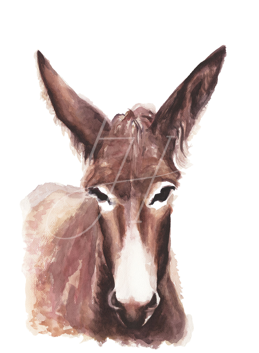 Donkey (Belle) Art Print