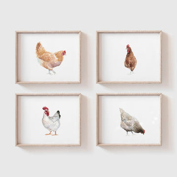 Chickens Art Print Set