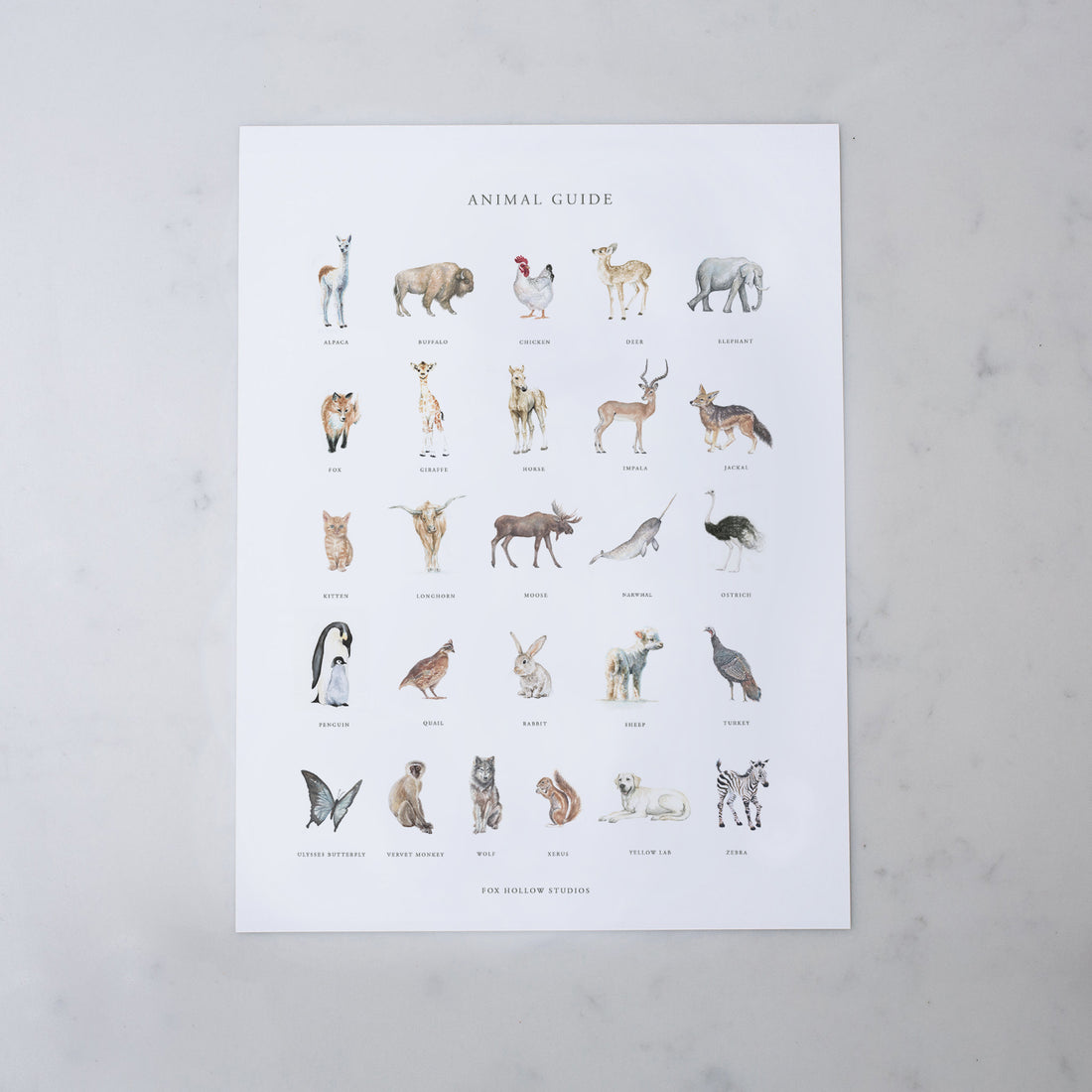 Animal Guide Poster