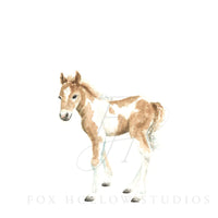 Horse No. 2 Art Print