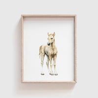 Horse No. 1 Art Print