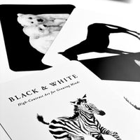Black & White Contrast Cards