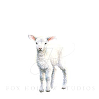 Lamb No. 2 Art Print