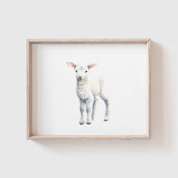 Lamb No. 2 Art Print