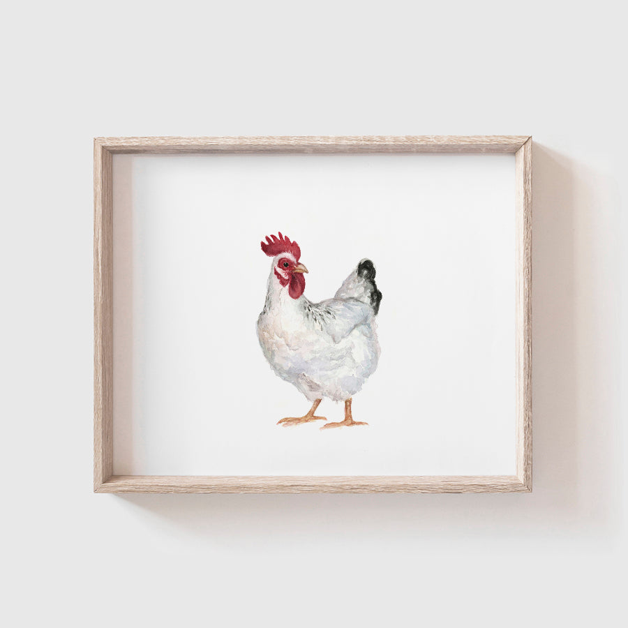 White Chicken Art Print