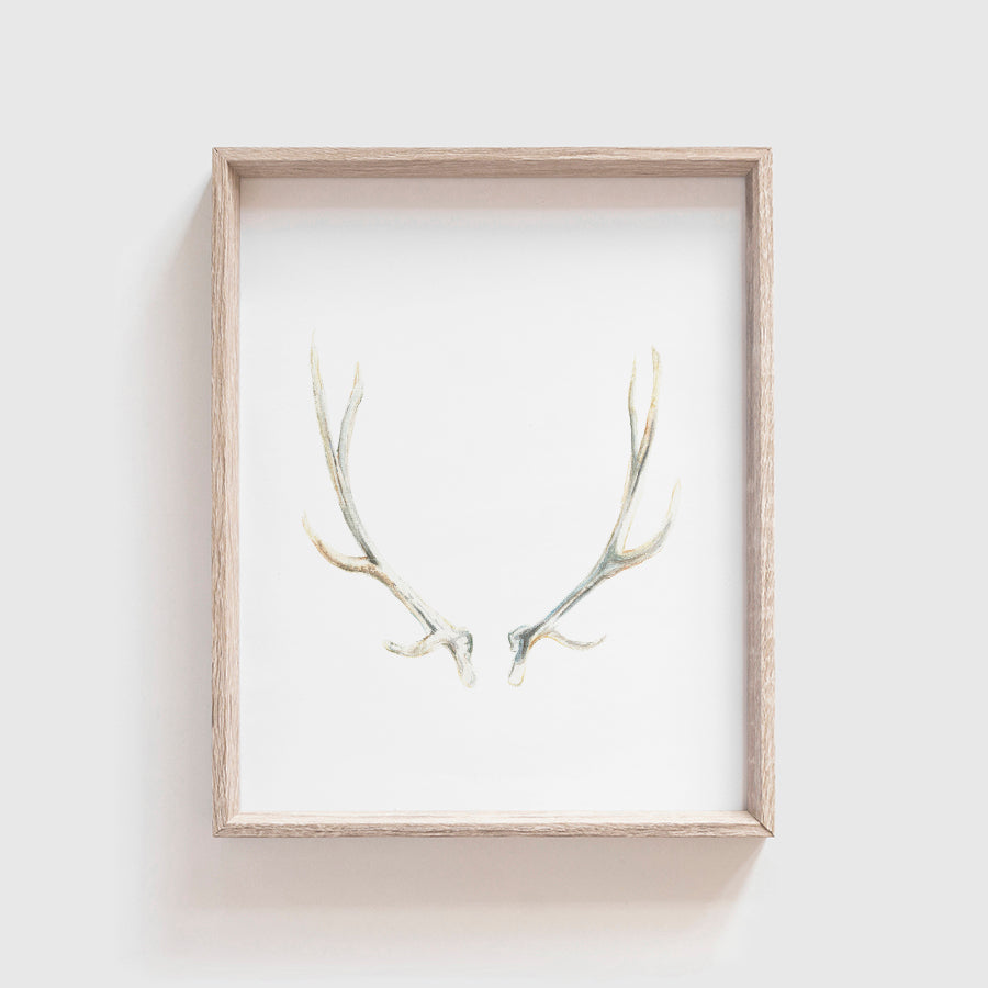 Antlers No. 2 Art Print