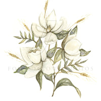 Magnolia Bouquet Art Print