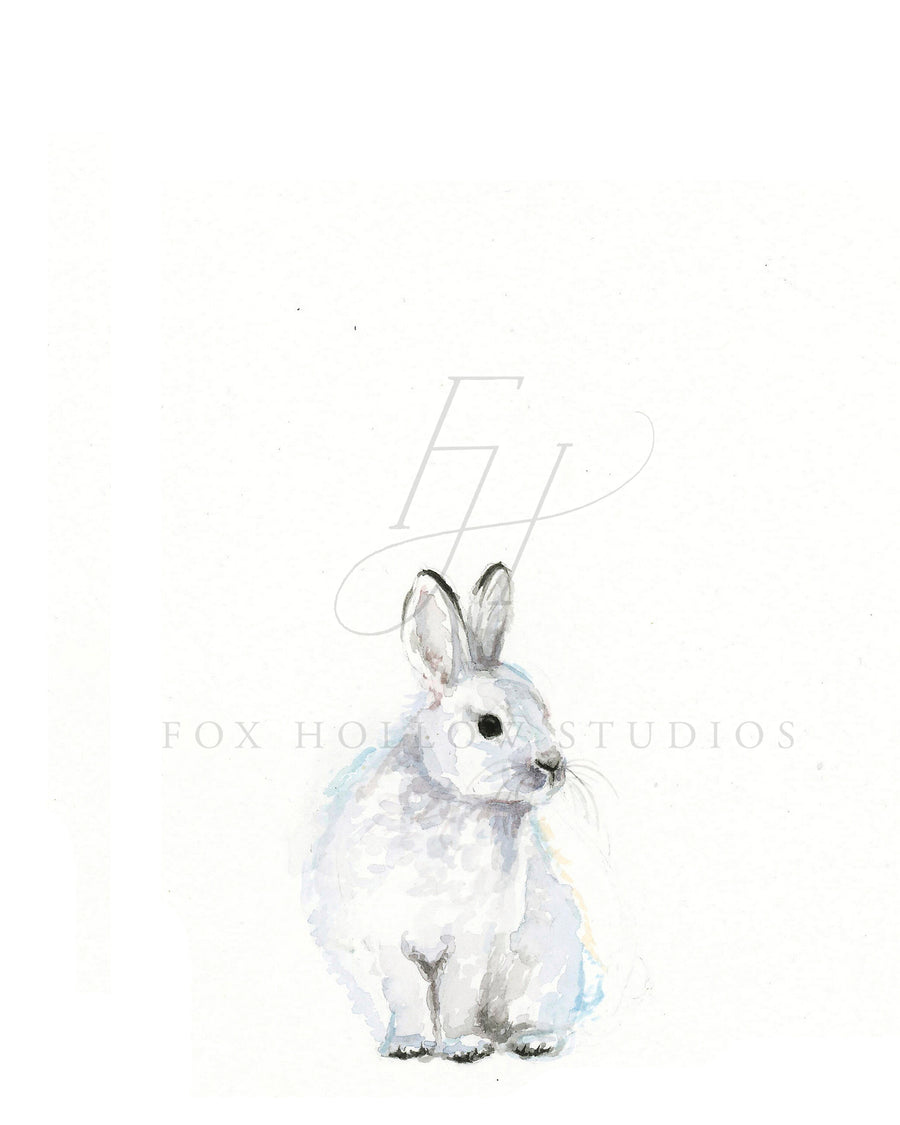 Arctic Bunny Art Print