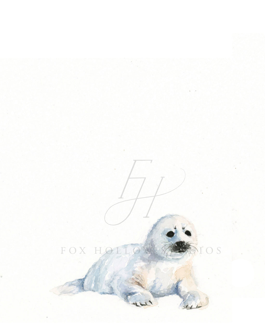 Arctic Seal Art Print